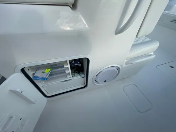 Invincible 33 CAT image