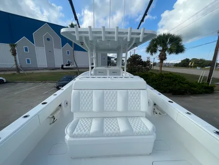 Invincible 33 CAT image