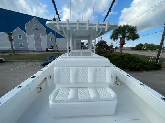 Invincible 33 CAT image