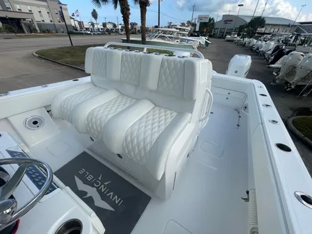 Invincible 33 CAT image