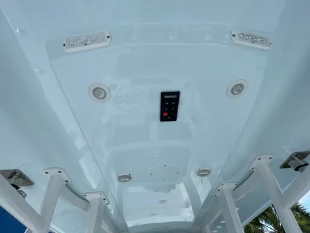 Invincible 33 CAT image