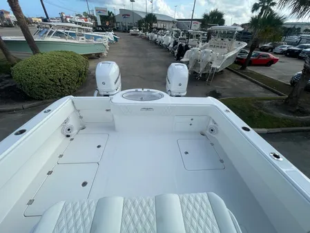 Invincible 33 CAT image