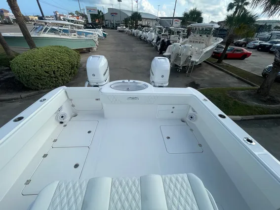 Invincible 33 CAT image