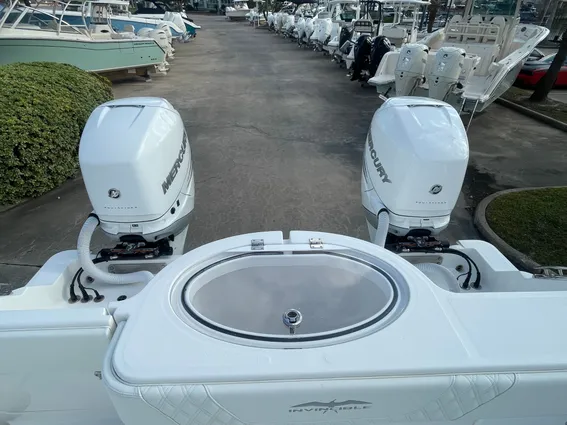 Invincible 33 CAT image