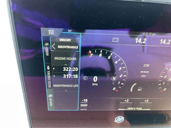 Invincible 33 CAT image