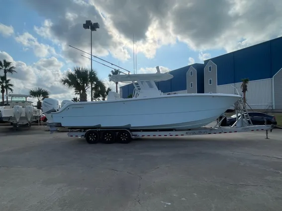 Invincible 33 CAT image