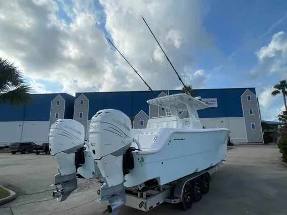 Invincible 33 CAT image