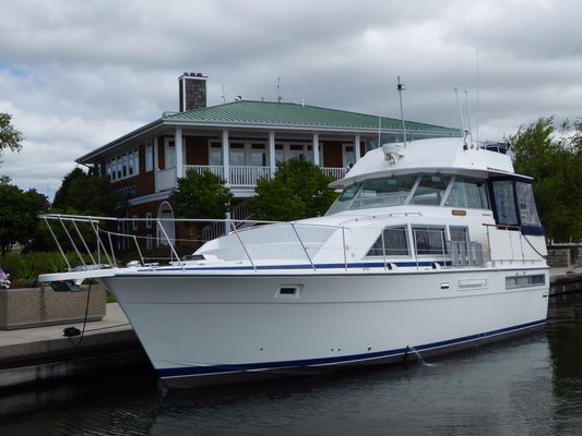 Bertram 42 Motor Yacht - main image
