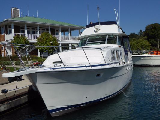 Bertram 42 Motor Yacht - main image