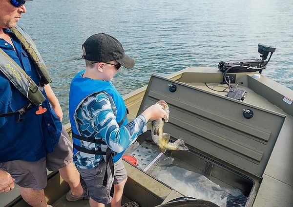 Lowe OUTLET-20 image