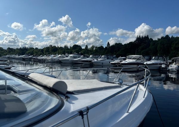 Regal 26-EXPRESS image