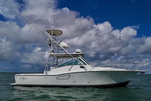 Albemarle 320 Express Fisherman image