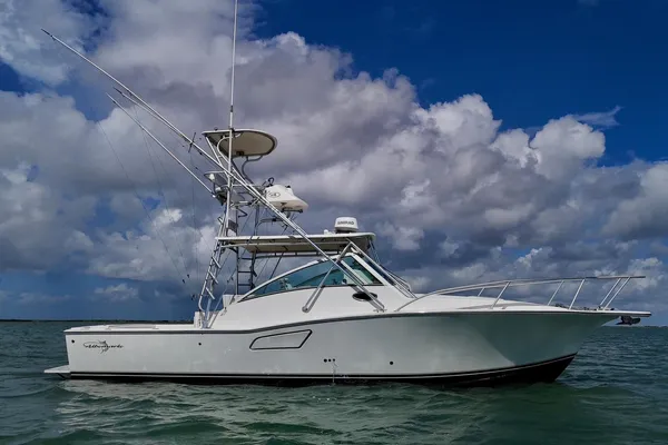 Albemarle 320 Express Fisherman image