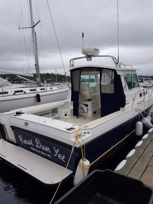 Albin 28 Tournament Express - main image