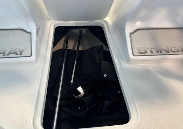 Stingray 172DC image