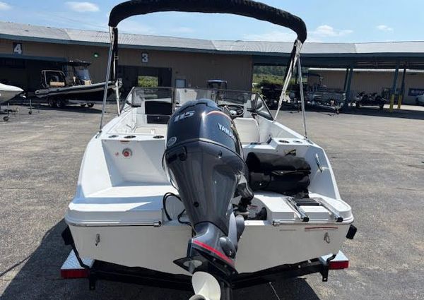 Stingray 172DC image