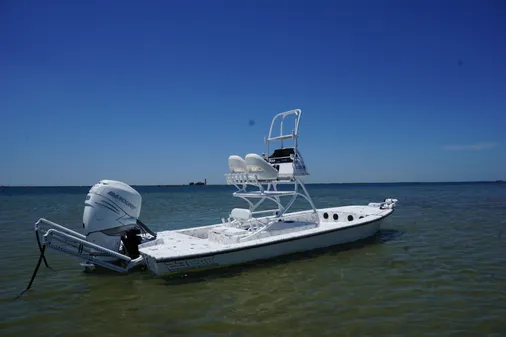 Haynie 23 super cat image