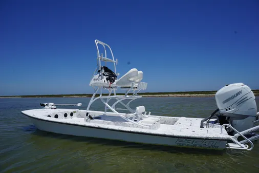 Haynie 23 super cat image