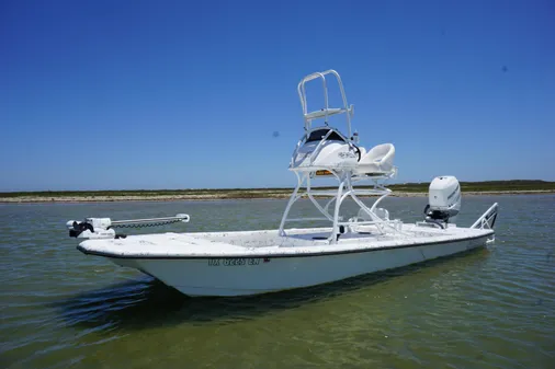 Haynie 23 super cat image