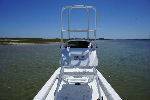 Haynie 23 super cat image