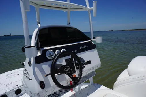 Haynie 23 super cat image