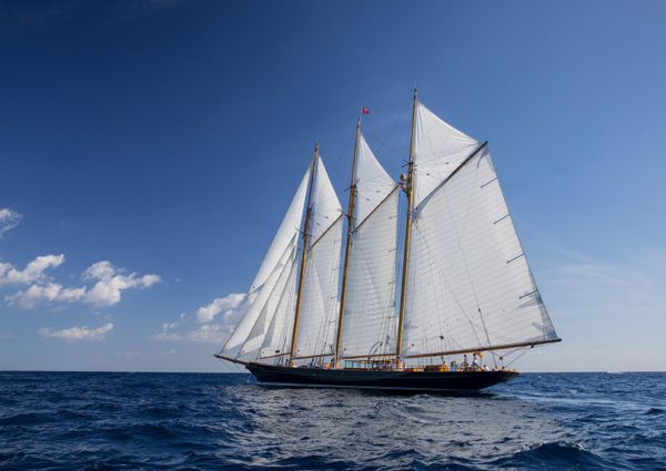 Classic TOWNSEND-DOWNEY-SCHOONER image