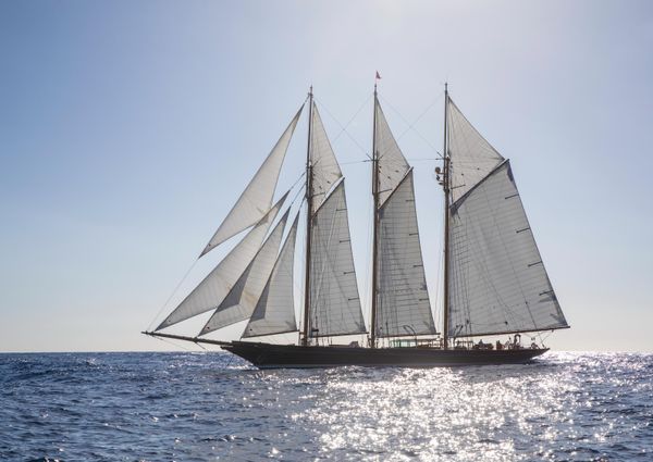 Classic TOWNSEND-DOWNEY-SCHOONER image