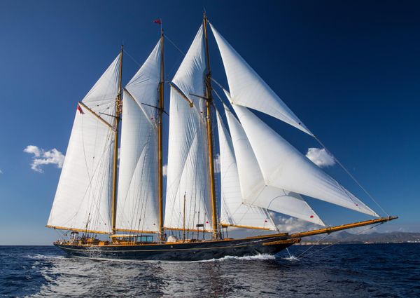 Classic TOWNSEND-DOWNEY-SCHOONER image