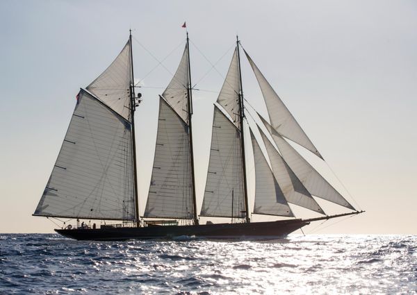 Classic TOWNSEND-DOWNEY-SCHOONER image