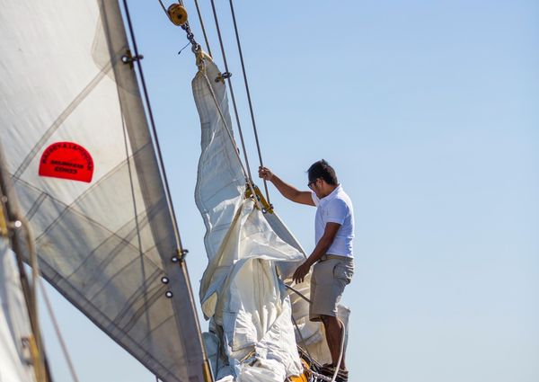 Classic TOWNSEND-DOWNEY-SCHOONER image