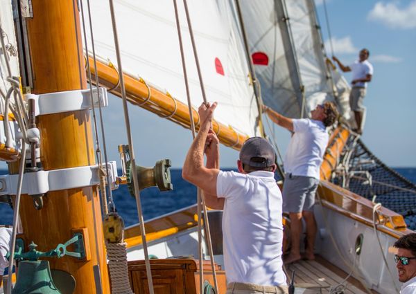 Classic TOWNSEND-DOWNEY-SCHOONER image