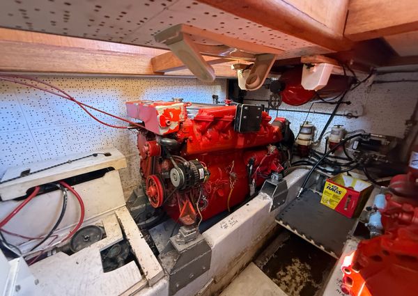 Marine-trader TRI-CABIN image