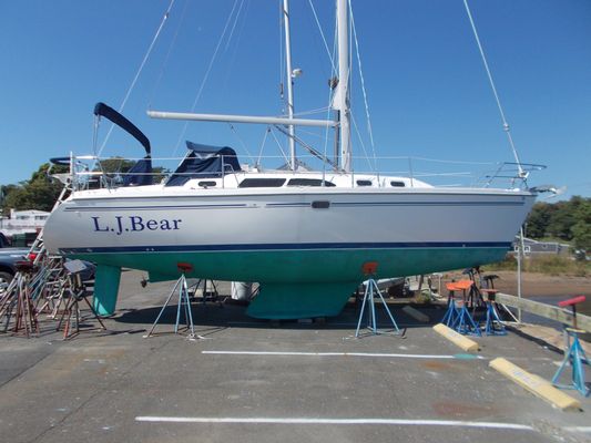 Catalina 350 - main image