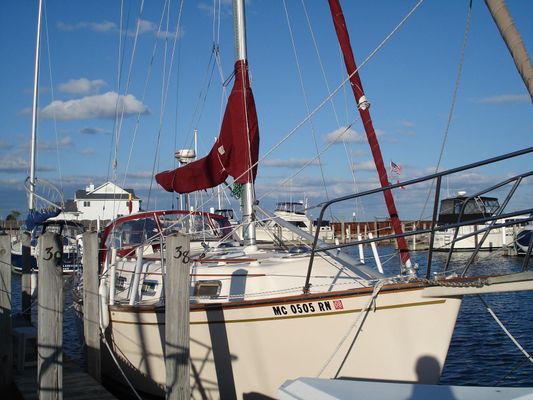 Island Packet 31 - main image