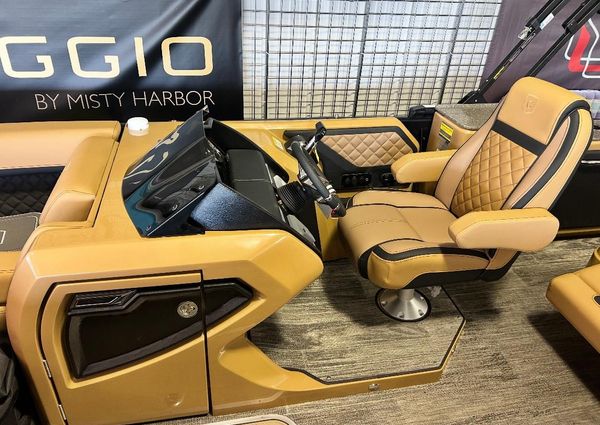 Godfrey AQUA-PATIO-235DFL-C-DUAL-FLIP-LOUNGER-TRIPLETOON image