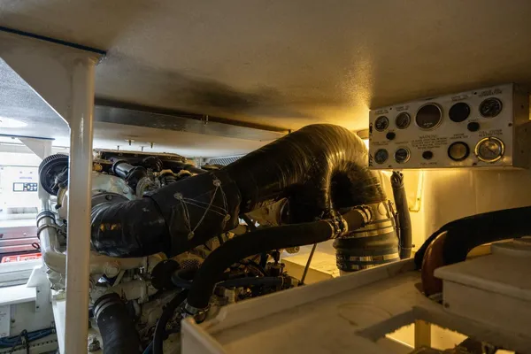 Viking 50 Convertible image