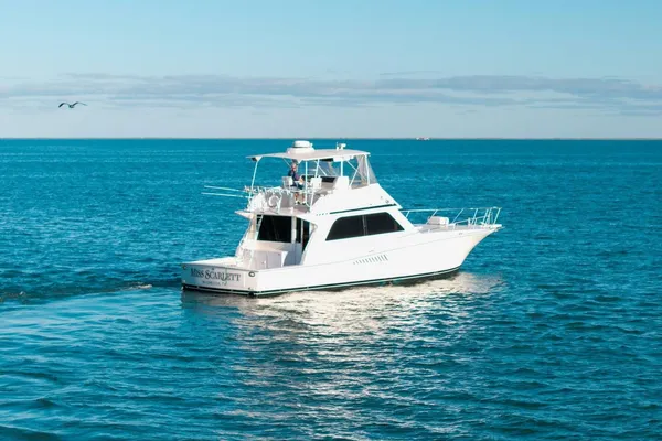 Viking 50 Convertible image