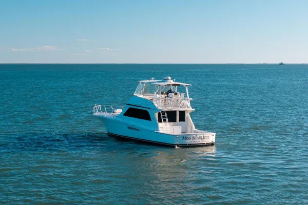 Viking 50 Convertible image