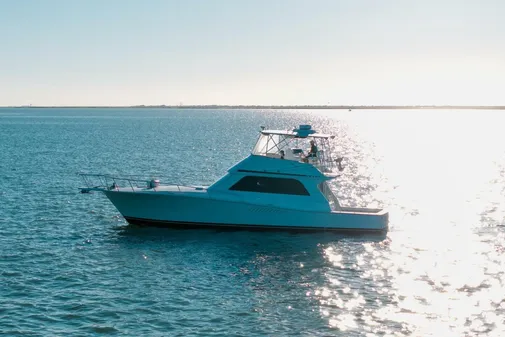 Viking 50 Convertible image