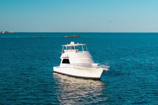 Viking 50 Convertible image