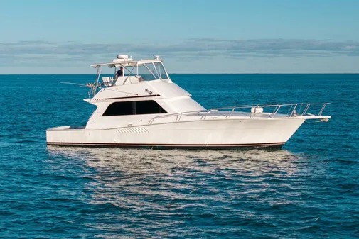 Viking 50 Convertible image