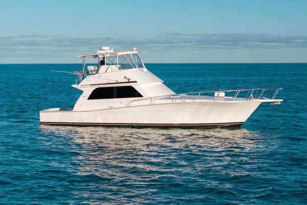 Viking 50 Convertible image