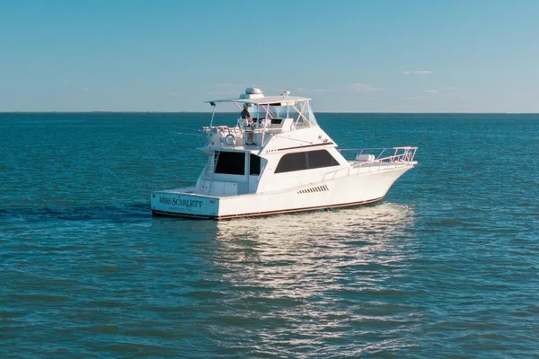 Viking 50 Convertible image