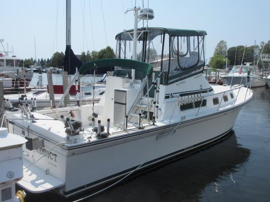 Albin 35 Command Bridge - main image