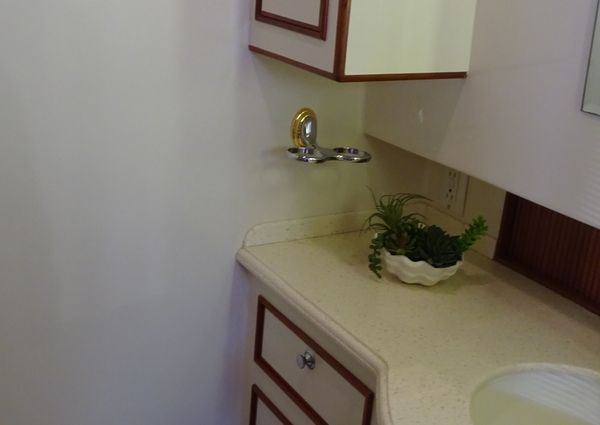 President 42-PERFORMANCE-TRAWLER image