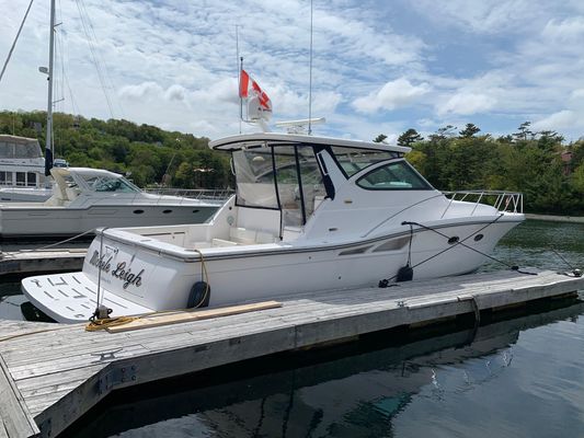 Tiara 4200 Open - main image