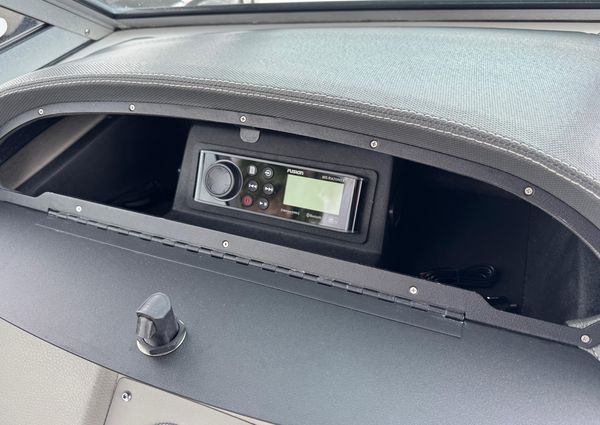 Cobalt 242-WSS image