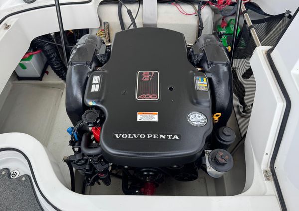 Cobalt 242-WSS image