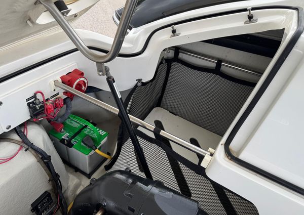 Cobalt 242-WSS image