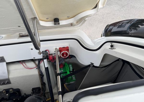 Cobalt 242-WSS image